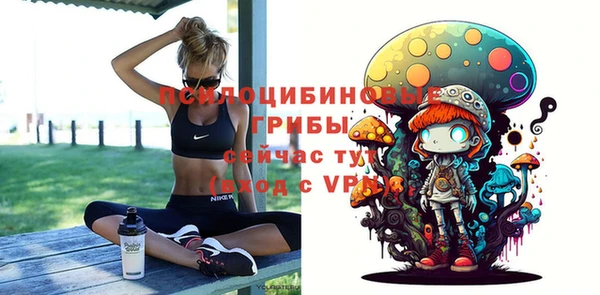 PSILOCYBIN Верея